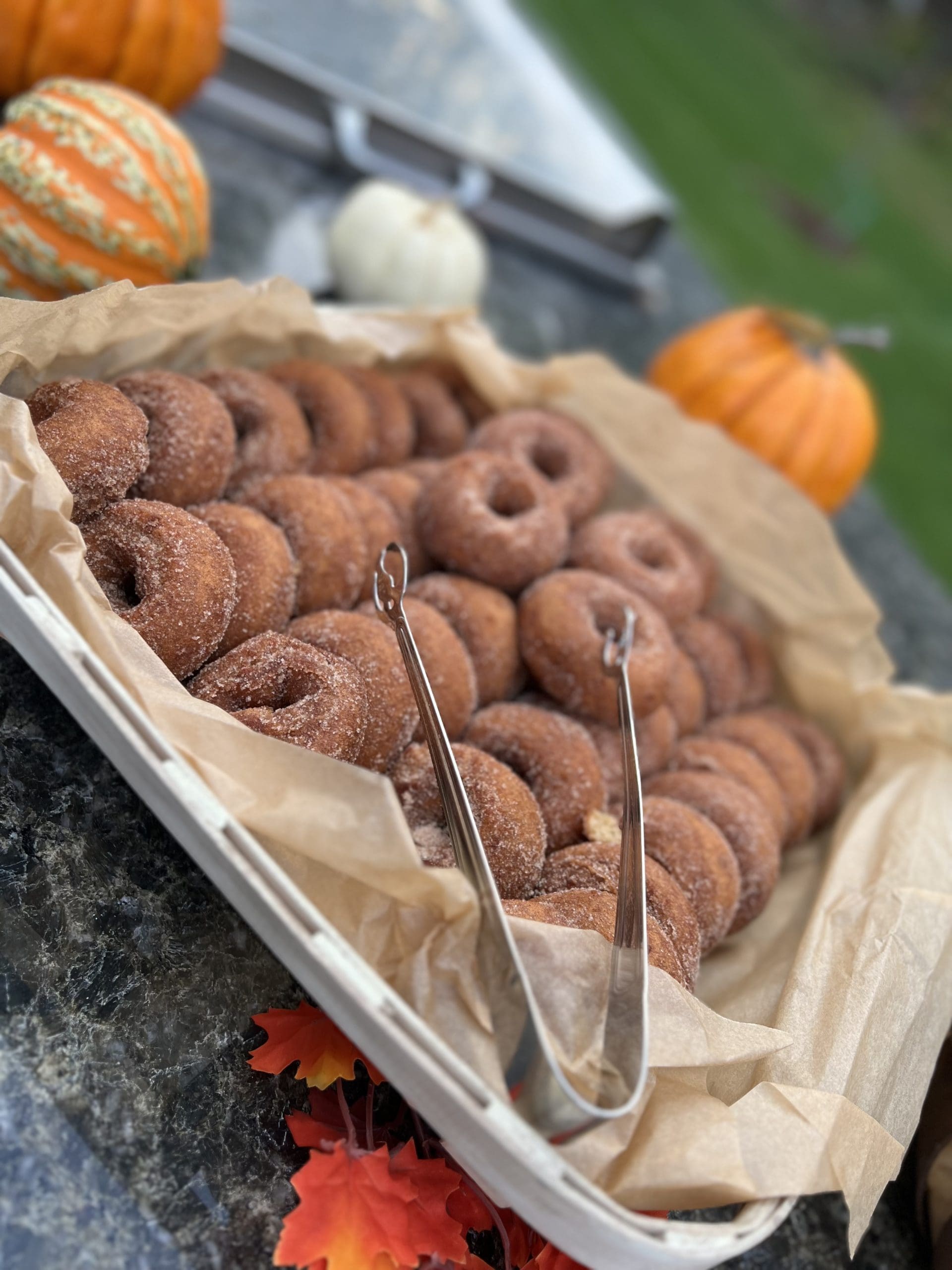 Photo Sep 23 2022, 8 08 58 AM