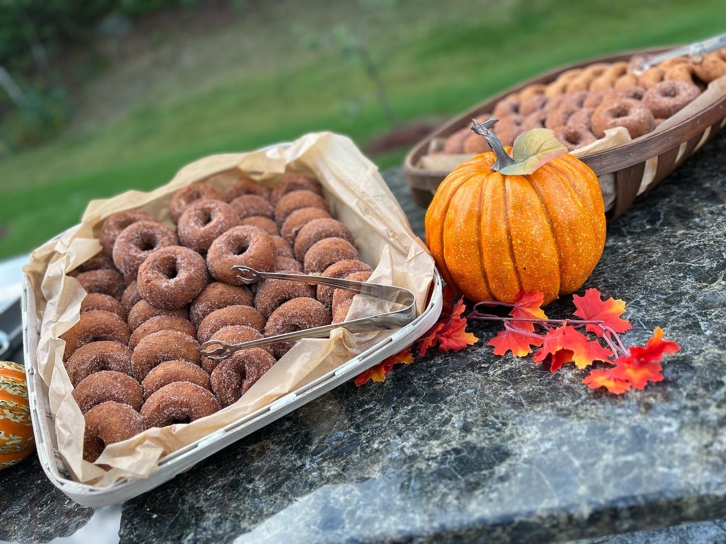 Photo Sep 23 2022, 9 32 56 AM (3)