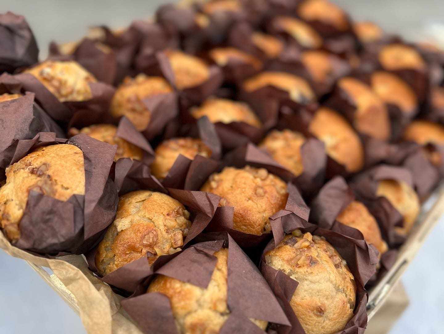 Photo Sep 23 2022, 9 32 56 AM (6)